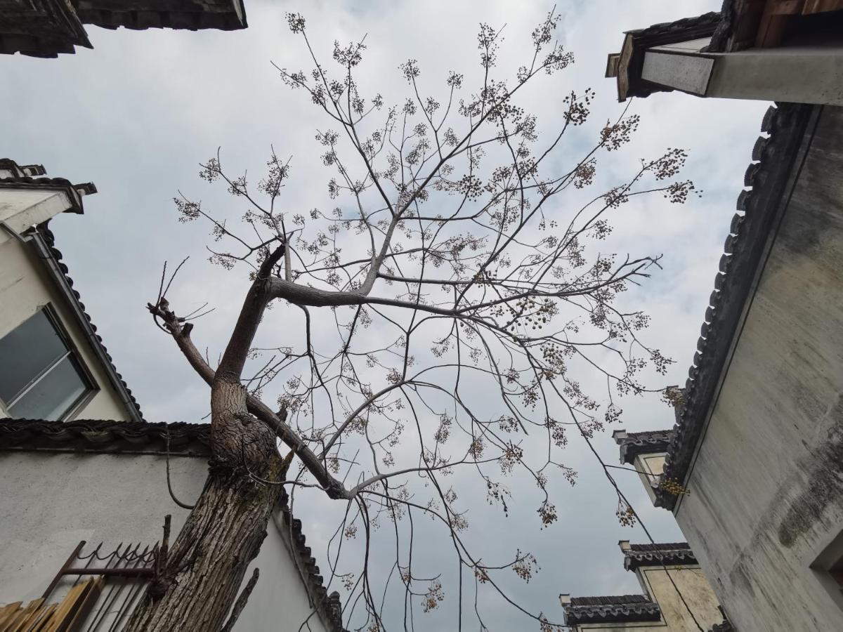 Xidi Kunlun International Hostel Yi (Anhui) Экстерьер фото